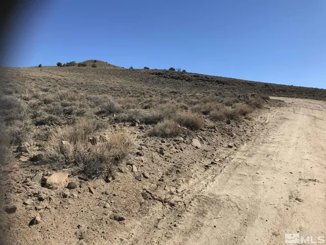 a view of a dry yard with mountains in the background