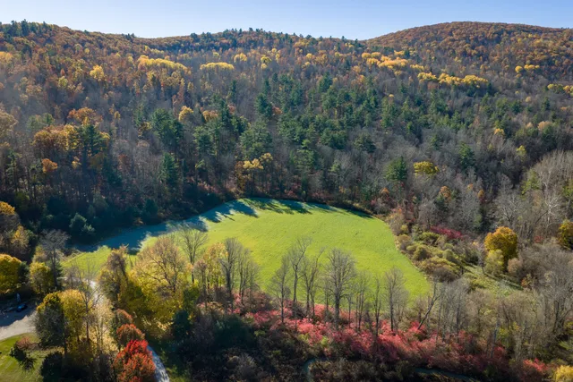 a view of a lake with a mountain and a forest