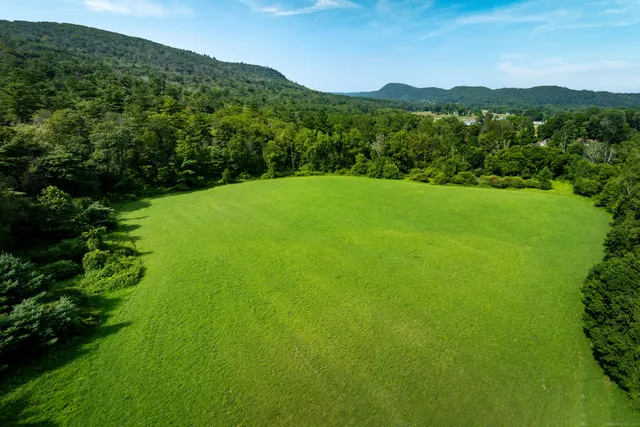 a view of a lush green outdoor space with a lake view
