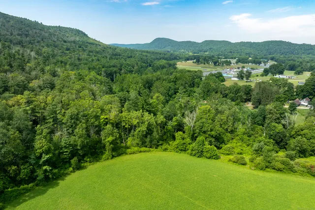 a view of a green field with lots of bushes