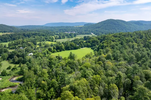 a view of a lush green hillside and a houses