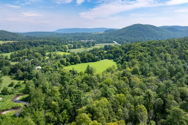 a view of a lush green hillside and a houses