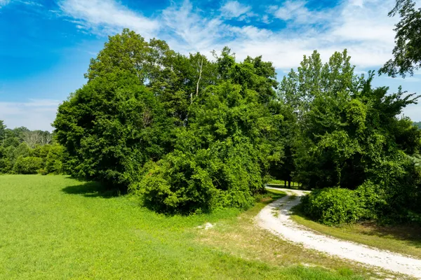 a view of yard with green space