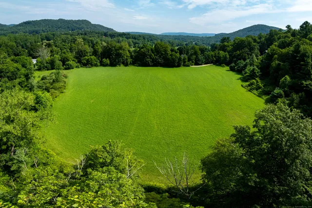 a view of a lush green forest with trees and houses in the back