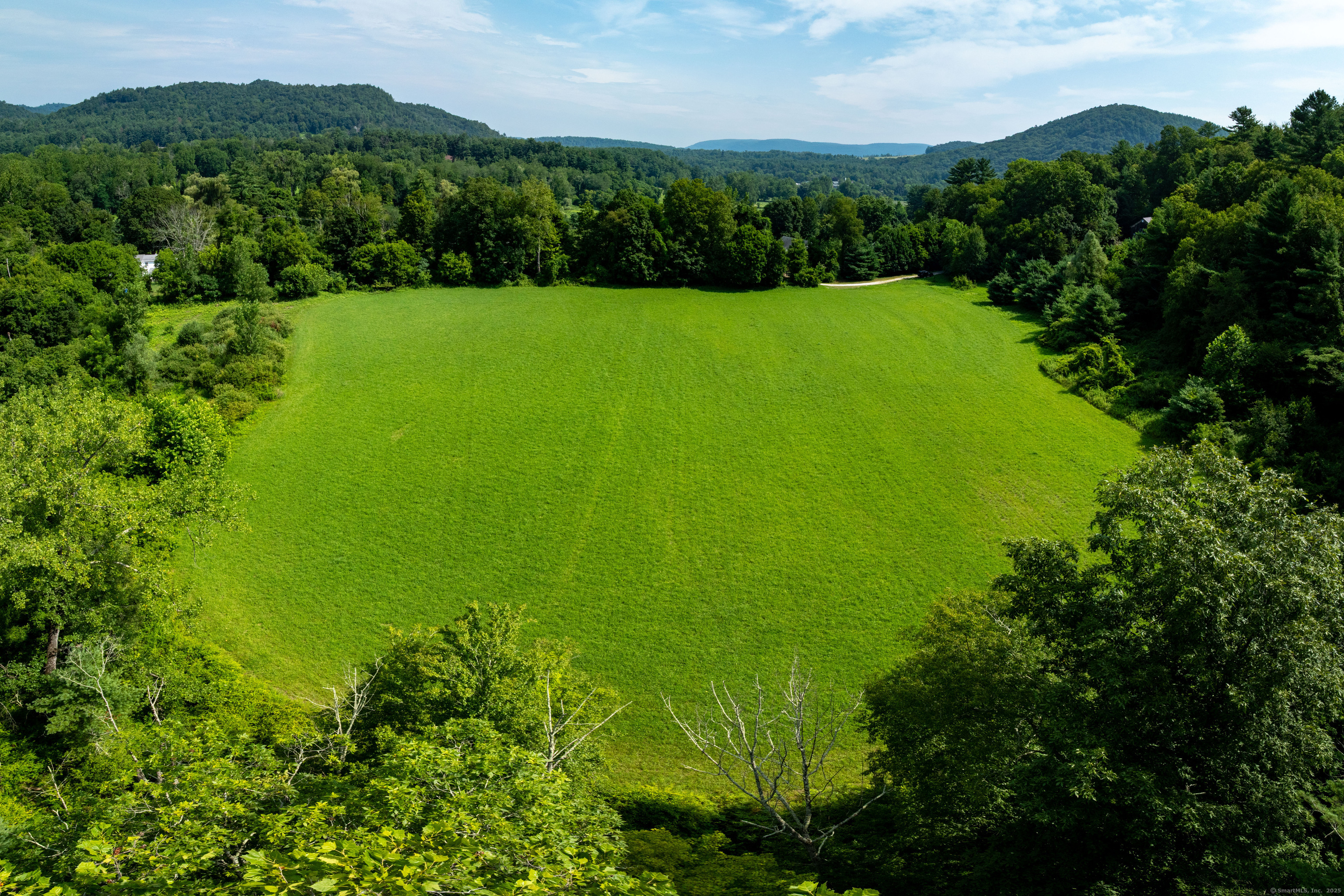 0 Lime Rock Road Lakeville, CT 06039 - Photo 8 of 27 a view of a lush green forest with trees and houses in the back