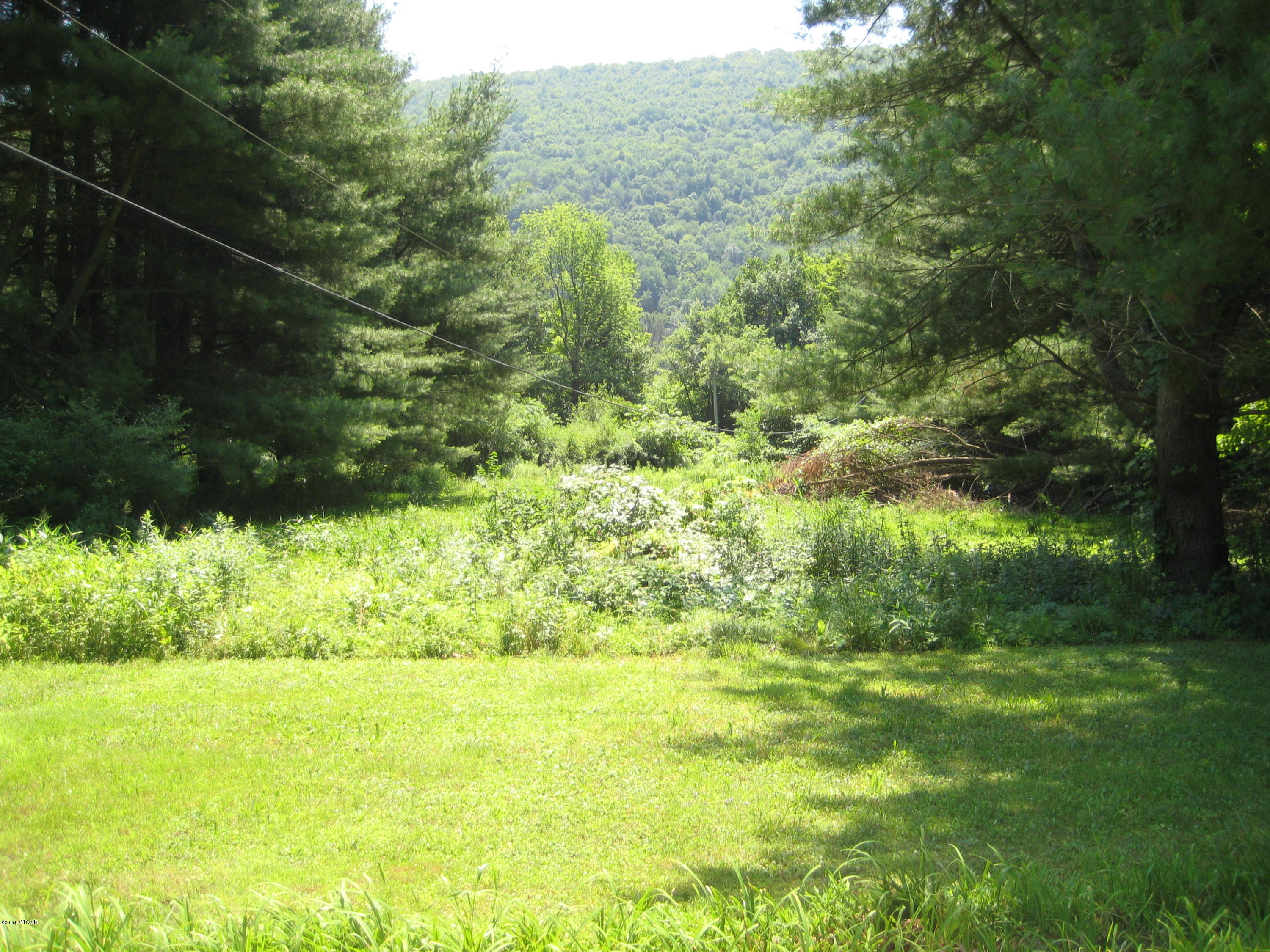 41 Buttonwood Road Hillsgrove, PA 18619 - Photo 2 of 15 IMG_2150