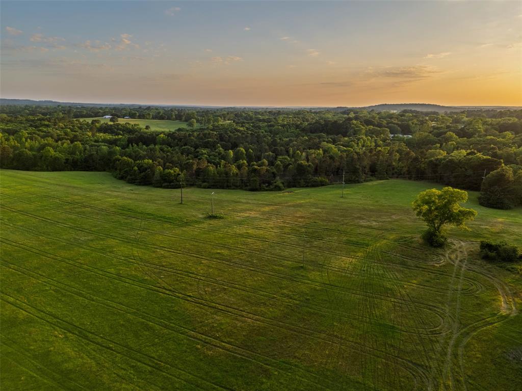 0 Farm To Market Road 752 Rusk, TX 75785 - Photo 11 of 25