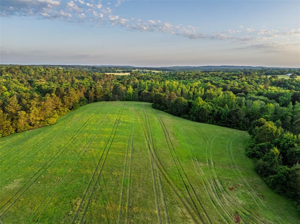 0 Farm To Market Road 752 Rusk, TX 75785 - Photo 12 of 25