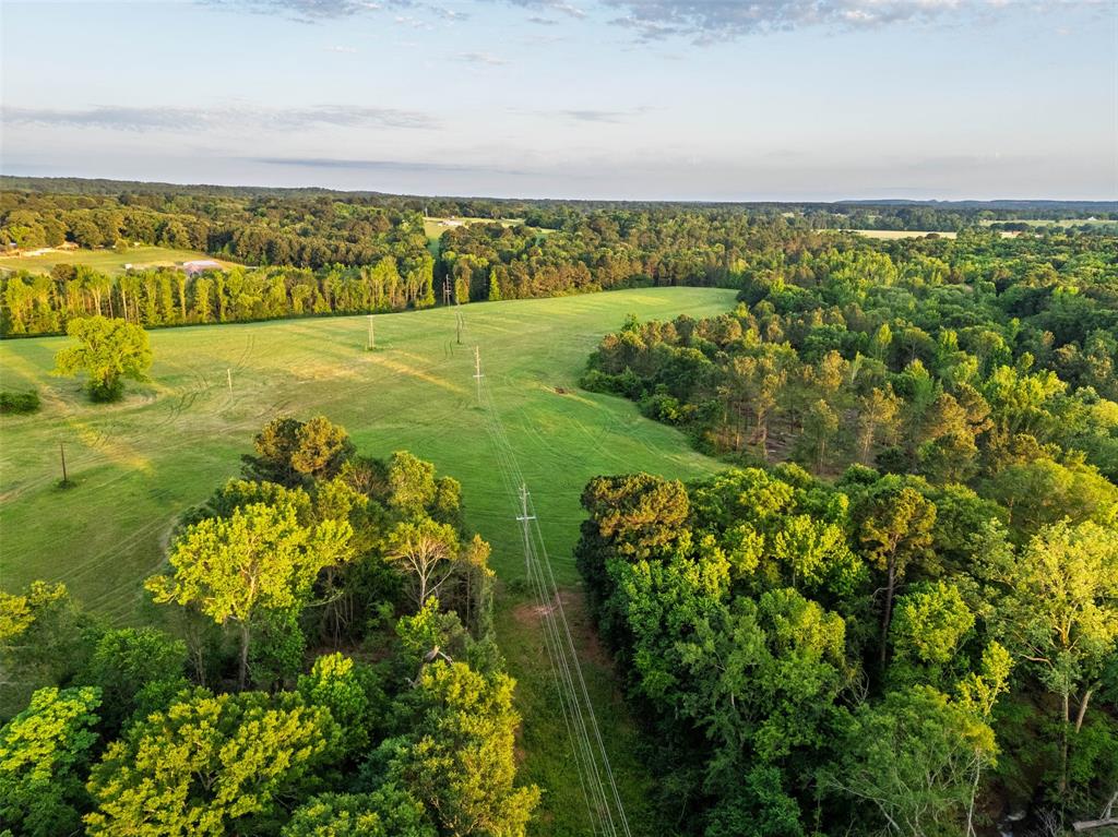 0 Farm To Market Road 752 Rusk, TX 75785 - Photo 15 of 25
