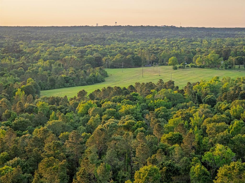 0 Farm To Market Road 752 Rusk, TX 75785 - Photo 17 of 25