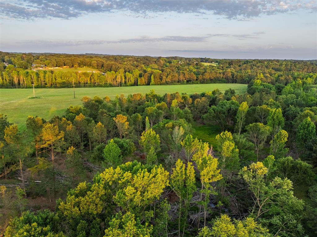 0 Farm To Market Road 752 Rusk, TX 75785 - Photo 19 of 25