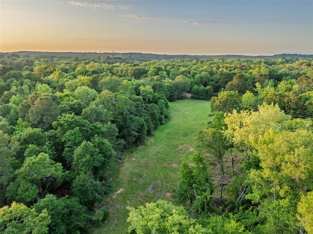 0 Farm To Market Road 752 Rusk, TX 75785 - Photo 20 of 25