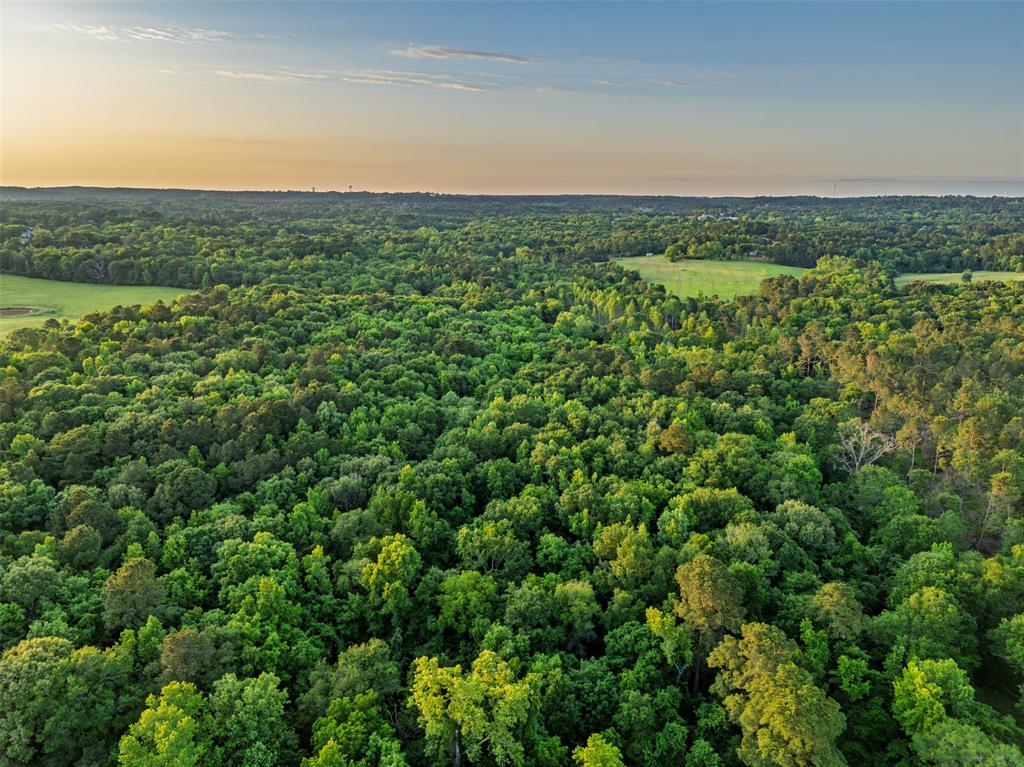 0 Farm To Market Road 752 Rusk, TX 75785 - Photo 2 of 25