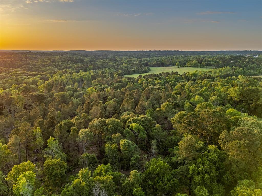 0 Farm To Market Road 752 Rusk, TX 75785 - Photo 22 of 25