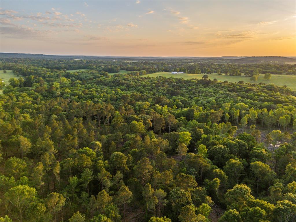 0 Farm To Market Road 752 Rusk, TX 75785 - Photo 3 of 25