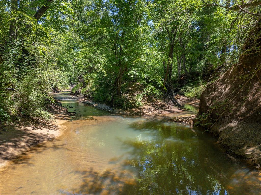 0 Farm To Market Road 752 Rusk, TX 75785 - Photo 4 of 25