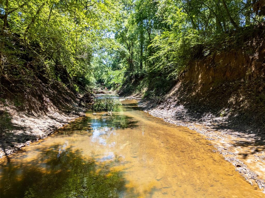 0 Farm To Market Road 752 Rusk, TX 75785 - Photo 5 of 25