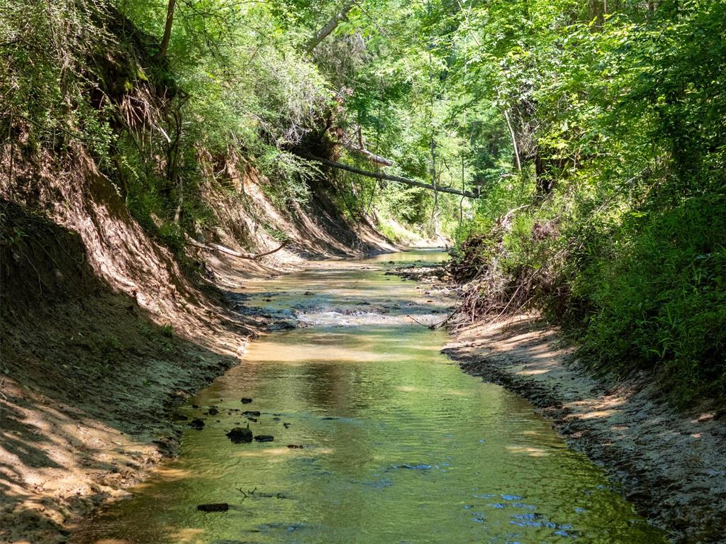 0 Farm To Market Road 752 Rusk, TX 75785 - Photo 6 of 25