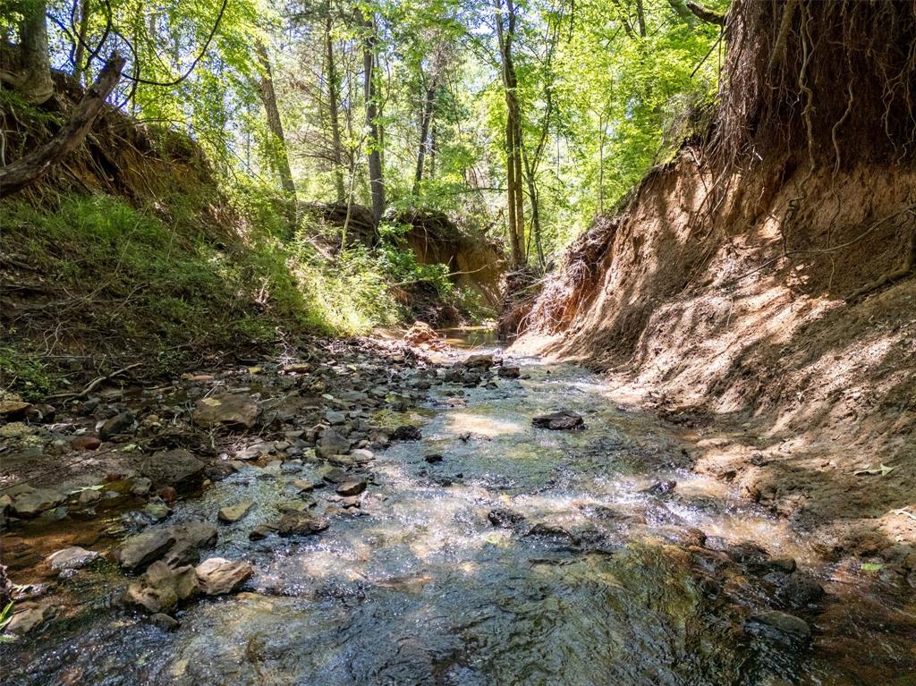 0 Farm To Market Road 752 Rusk, TX 75785 - Photo 7 of 25