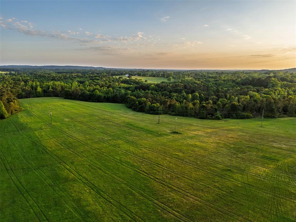 0 Farm To Market Road 752 Rusk, TX 75785 - Photo 10 of 25