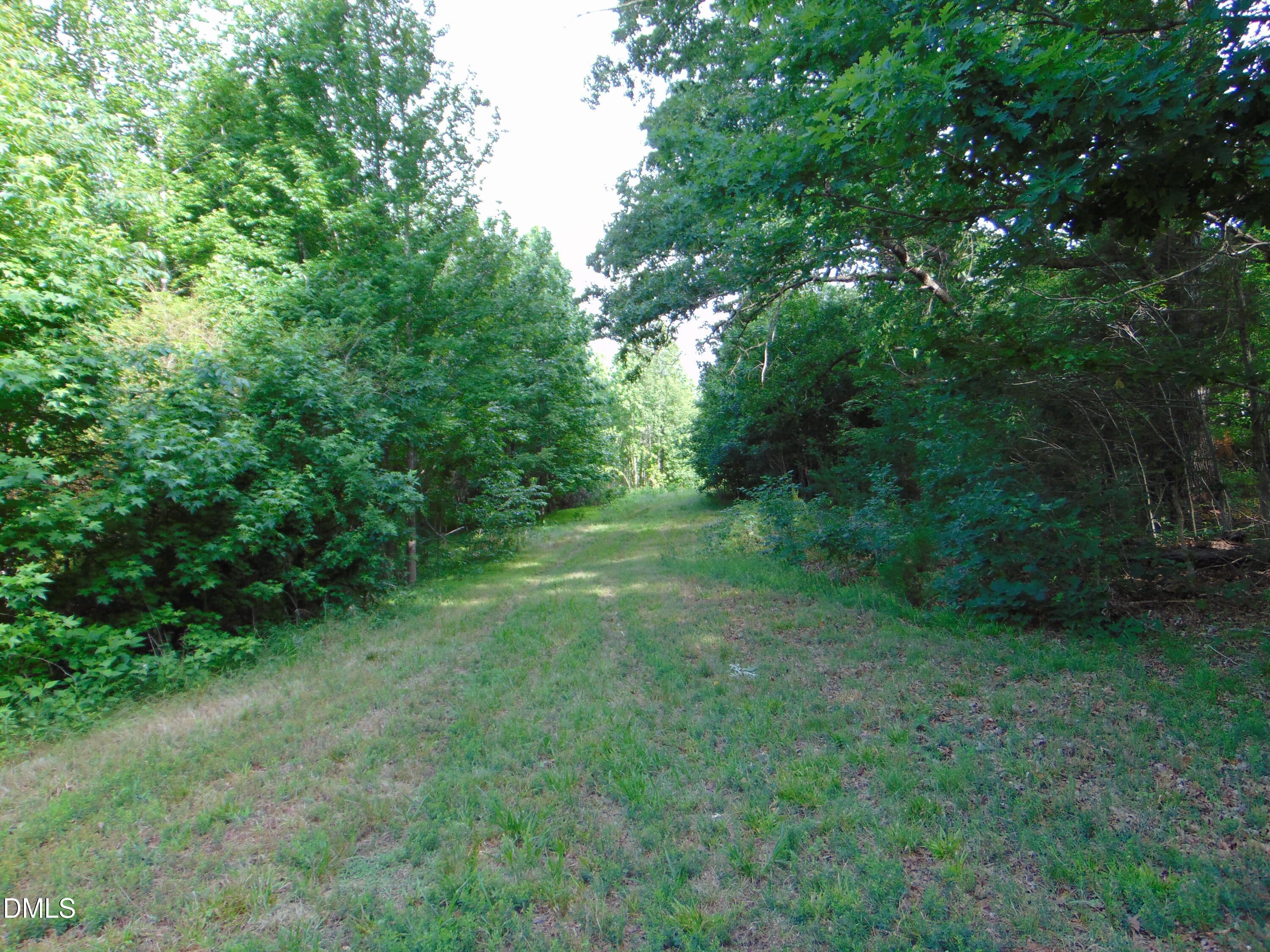 0 Walters Mill Road Providence, NC 27315 - Photo 14 of 22 DSC01571