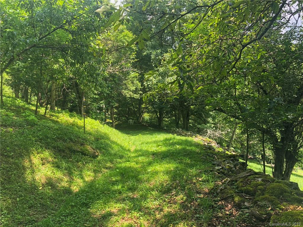 378 Howard Moore Road Hot Springs, NC 28743 - Photo 40 of 41 Gallery Image 40