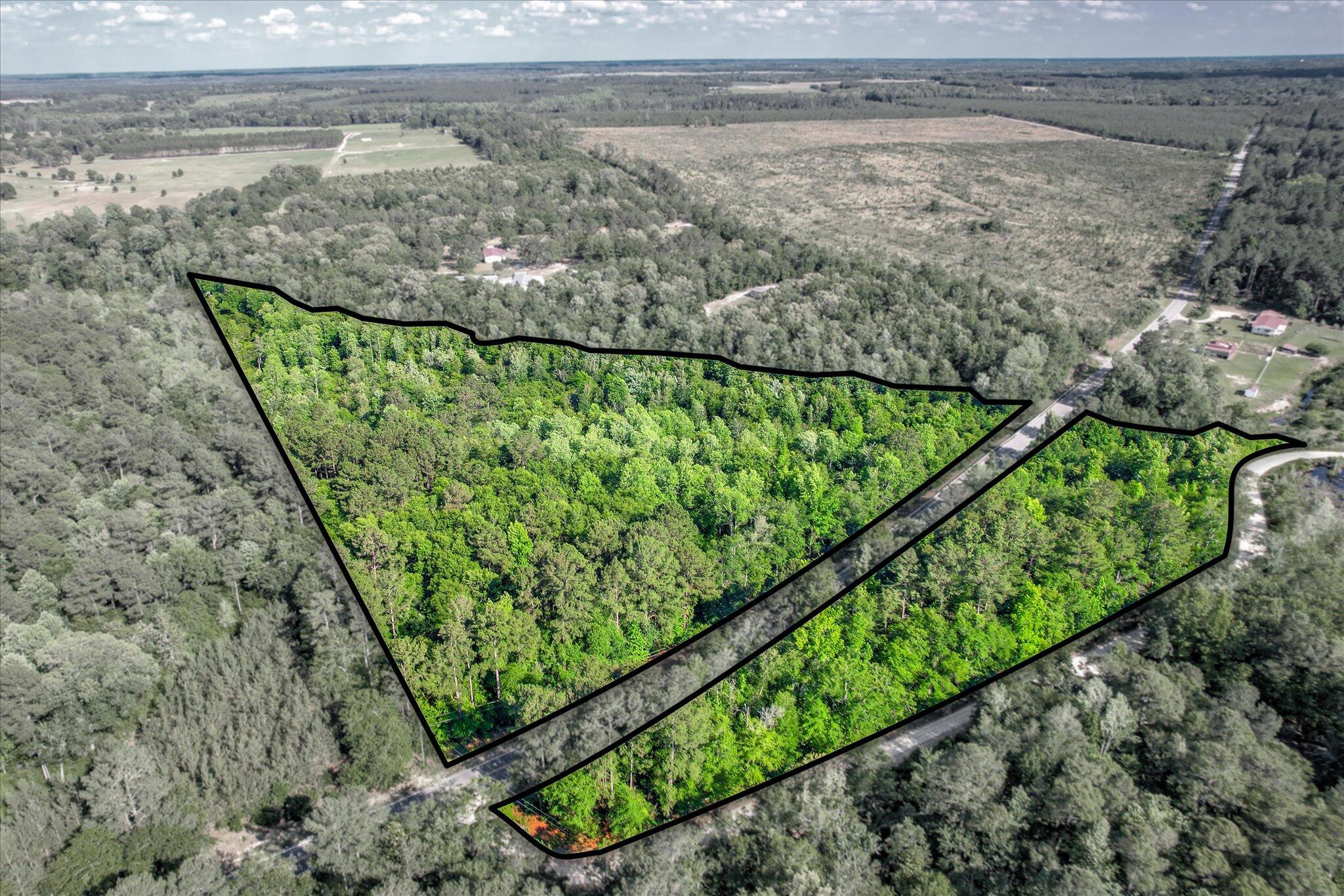 0 Davis Bridge Road Williston, SC 29853 - Photo 2 of 21