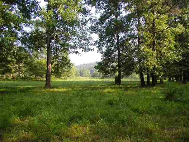 123 Eastatoe Creek Road Sunset, SC 29685 - Photo 2 of 8 Gallery Image 2