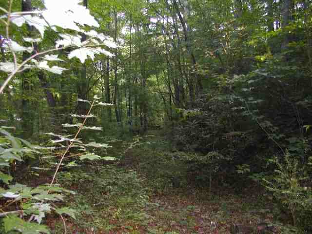 123 Eastatoe Creek Road Sunset, SC 29685 - Photo 3 of 8 Gallery Image 3