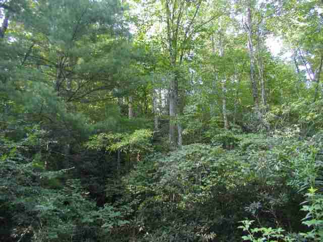 123 Eastatoe Creek Road Sunset, SC 29685 - Photo 7 of 8 Gallery Image 7