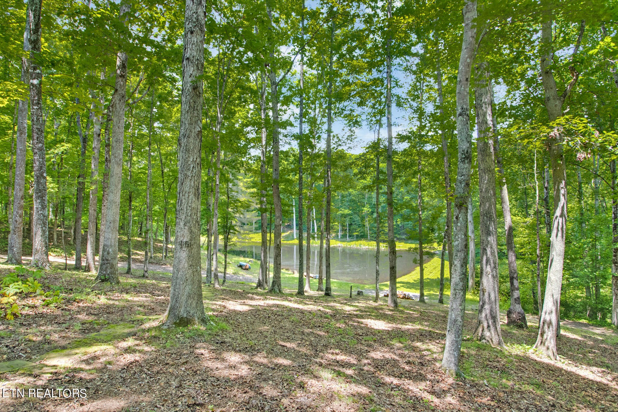 1620 Bell Road Crossville, TN 38571 - Photo 42 of 54 a view of a yard with plants and trees