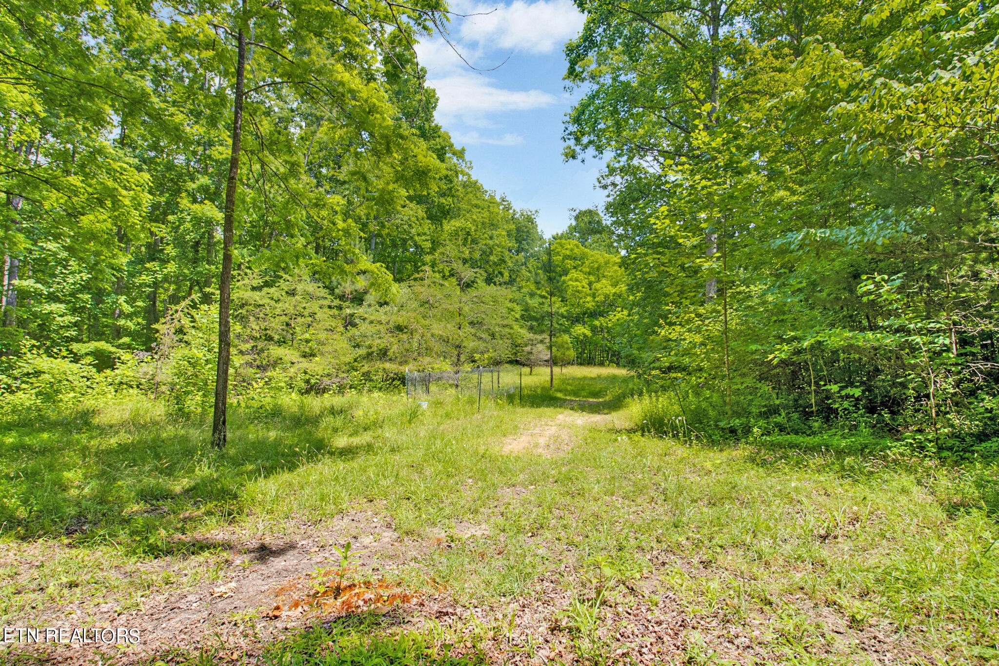 1620 Bell Road Crossville, TN 38571 - Photo 46 of 54 a view of a garden