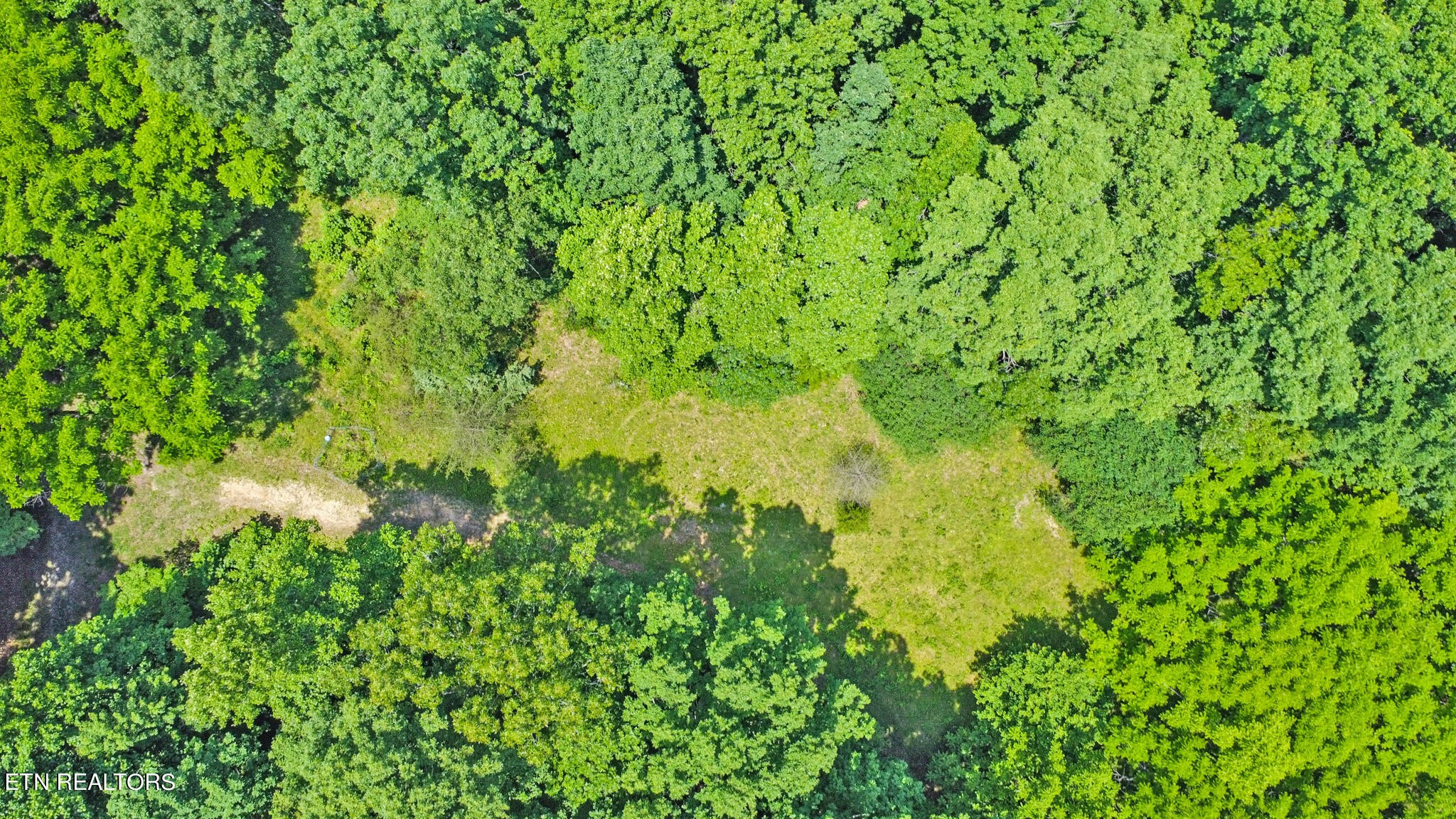 1620 Bell Road Crossville, TN 38571 - Photo 50 of 54 a view of a lush green space
