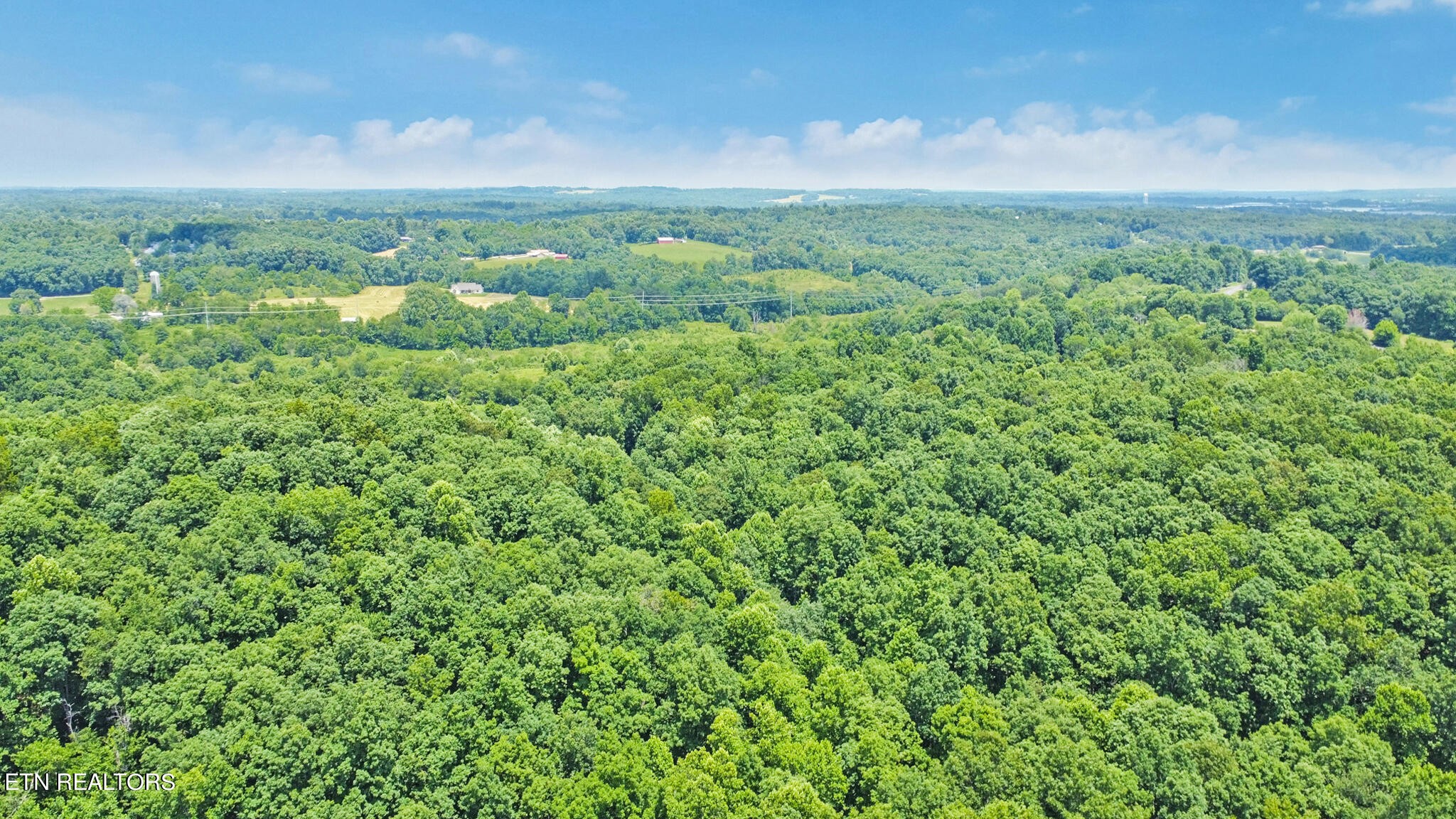 1620 Bell Road Crossville, TN 38571 - Photo 52 of 54 a view of a green field