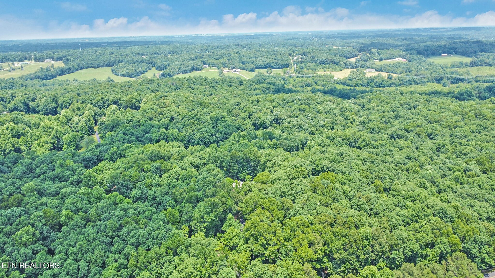 1620 Bell Road Crossville, TN 38571 - Photo 53 of 54 a view of a big yard with lots of green space