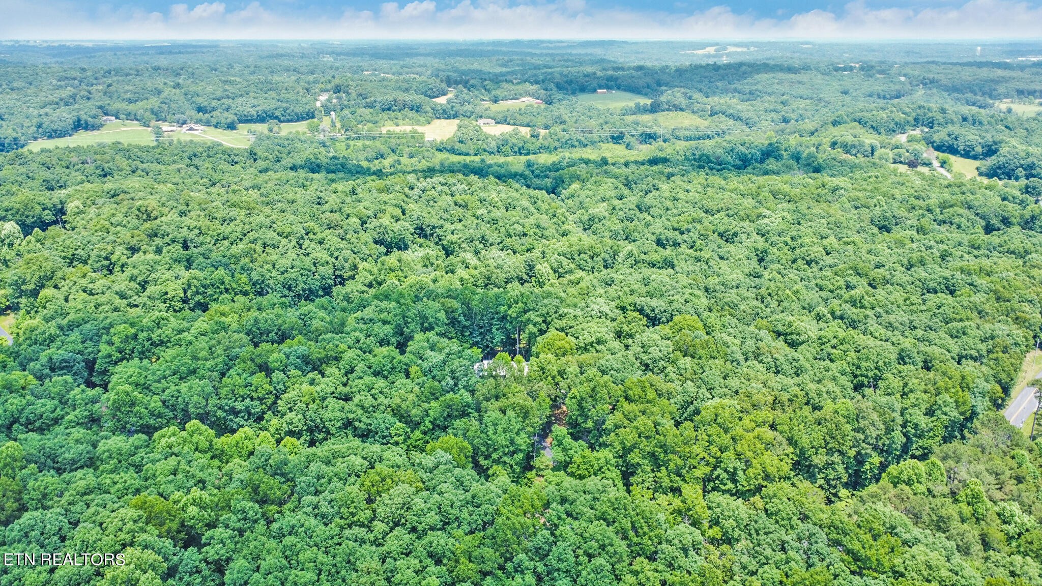 1620 Bell Road Crossville, TN 38571 - Photo 54 of 54 a view of a green field