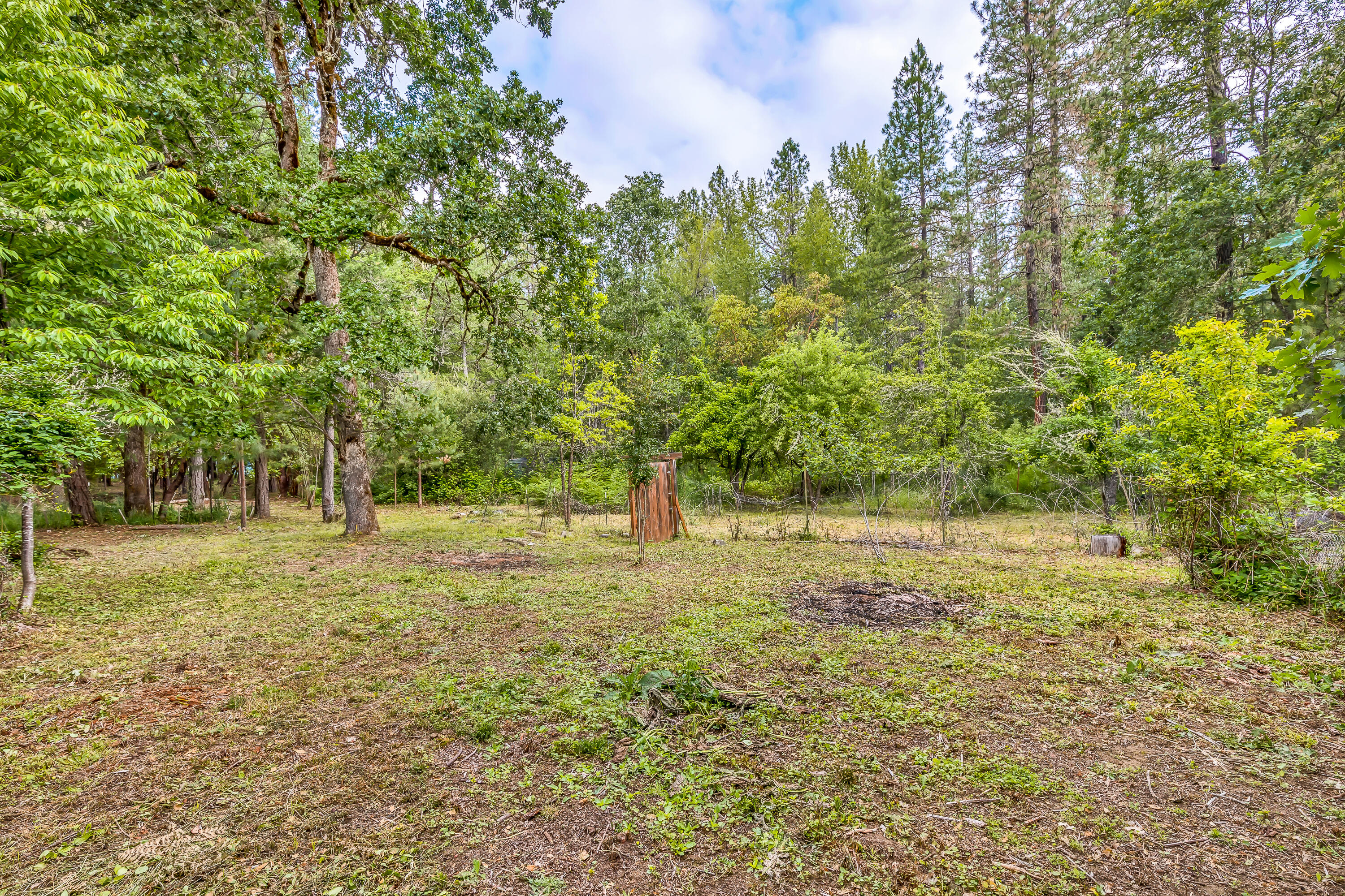640 Minthorne Road Rogue River, OR 97537 - Photo 8 of 28 9R9A7159