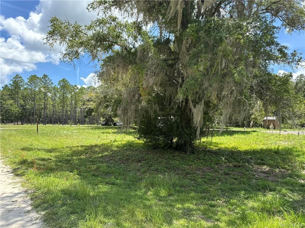 5590 Northwest 76th Avenue Chiefland, FL 32626 - Photo 17 of 22 a view of an outdoor space and a yard