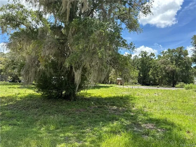 a view of an outdoor space and a yard