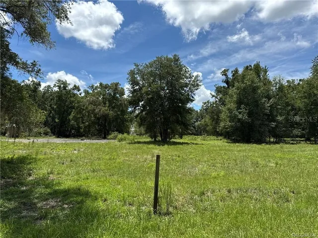 a view of a grassy field with trees in the background