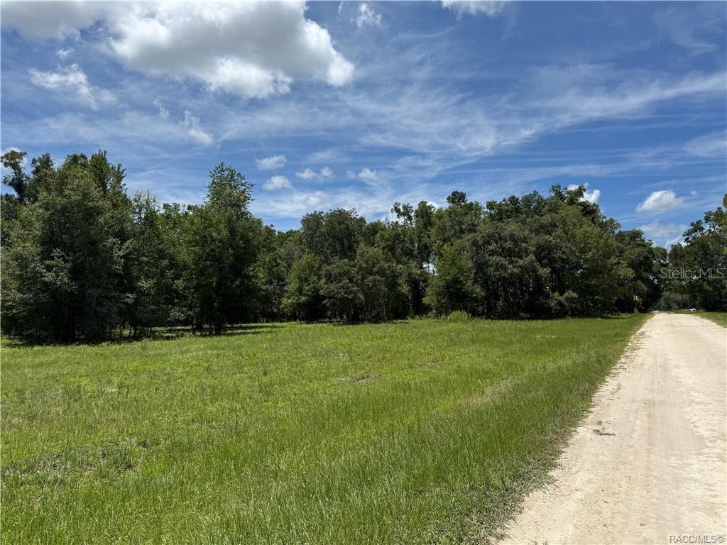 5590 Northwest 76th Avenue Chiefland, FL 32626 - Photo 20 of 22 a view of a field with a yard