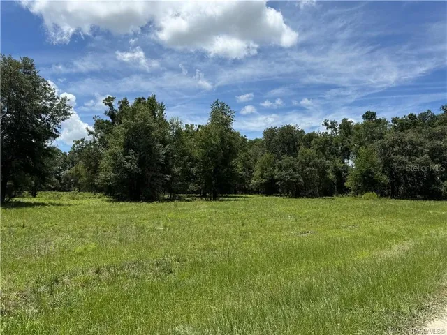 a view of an outdoor space and yard