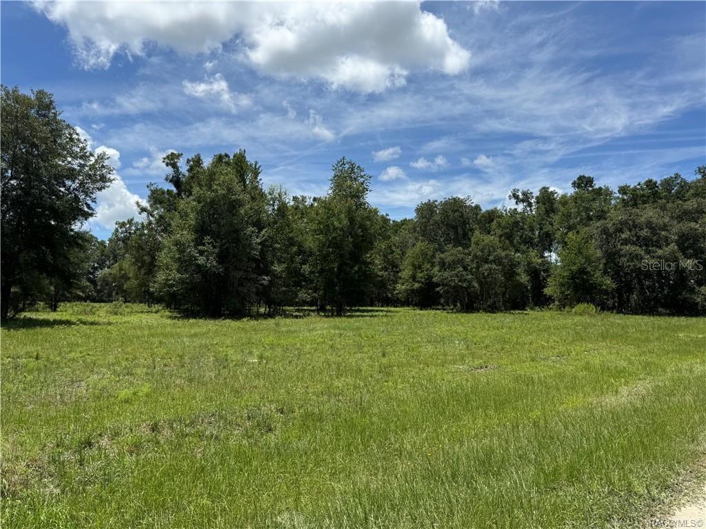 5590 Northwest 76th Avenue Chiefland, FL 32626 - Photo 21 of 22 a view of an outdoor space and yard