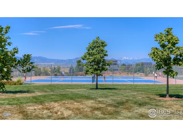 a black and white photo of a field