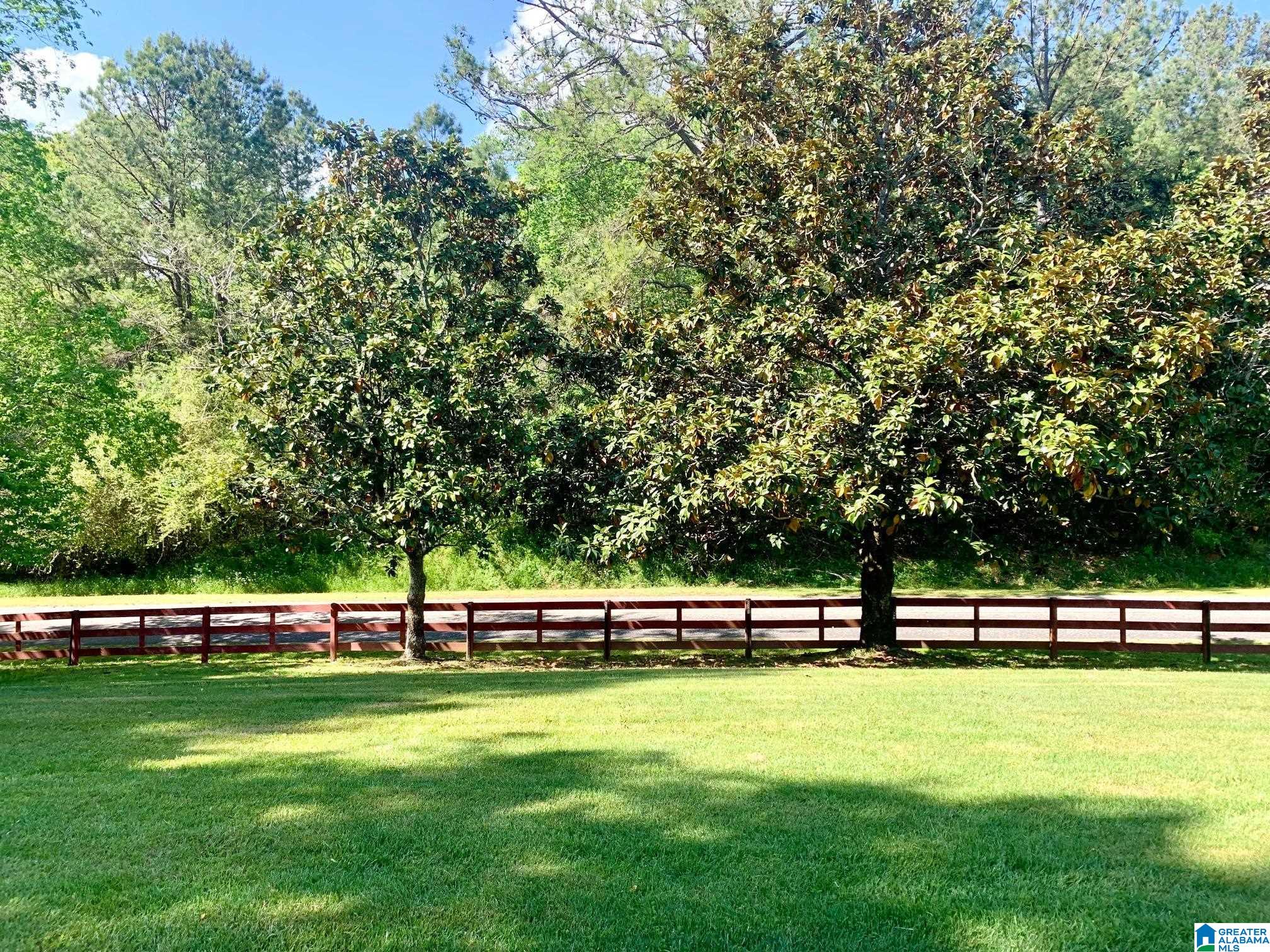 3676 County Road 66 Heflin, AL 36264 - Photo 12 of 40