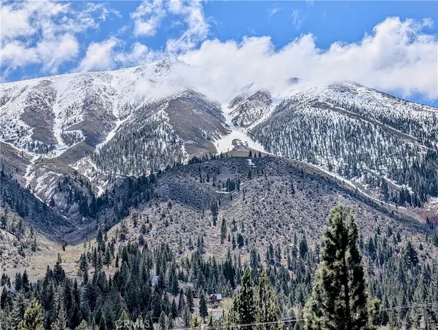 a view of a dry yard with trees