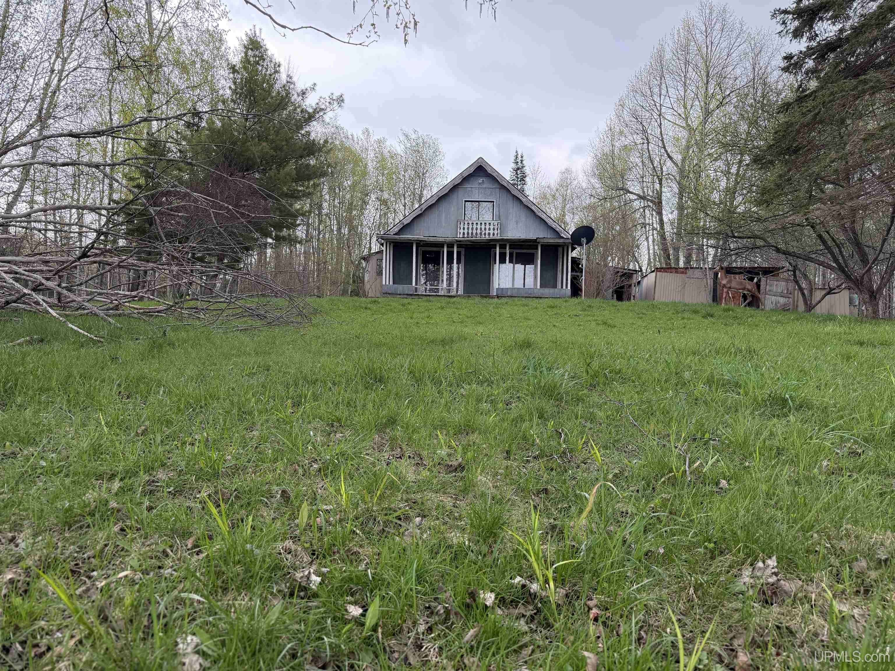 W 18312 Co Rd H42 Road Germfask, MI 49836 - Photo 19 of 31