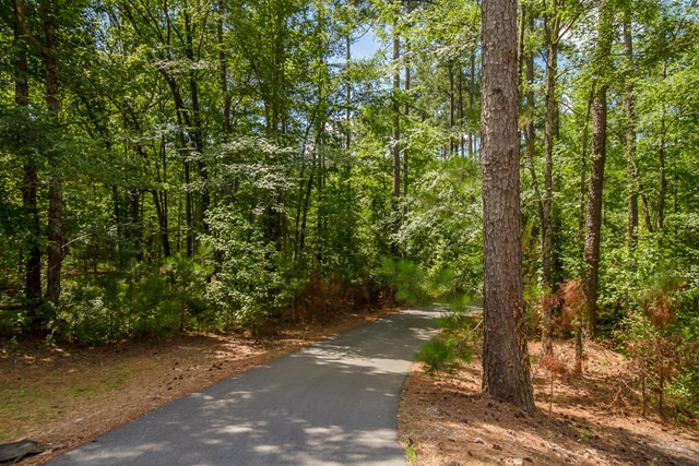 5724 Tubman Road Appling, GA 30802 - Photo 46 of 46