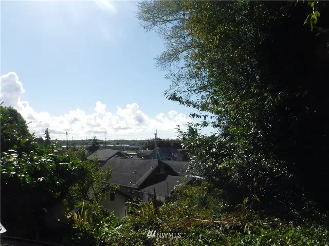 a view of a city with lush green forest