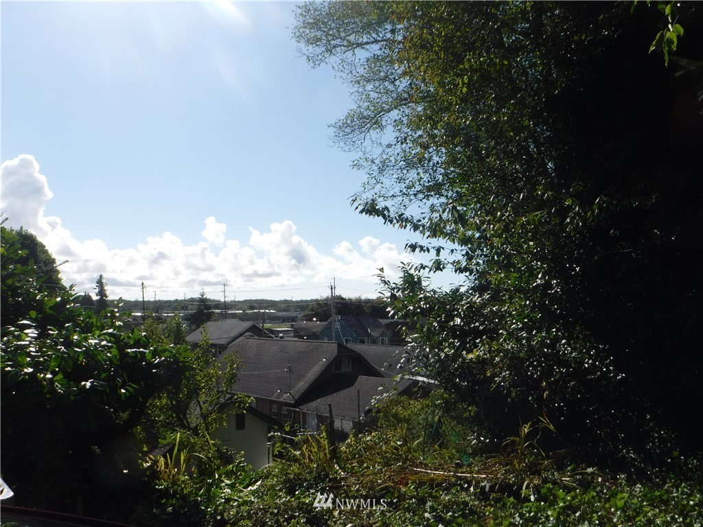 a view of a city with lush green forest